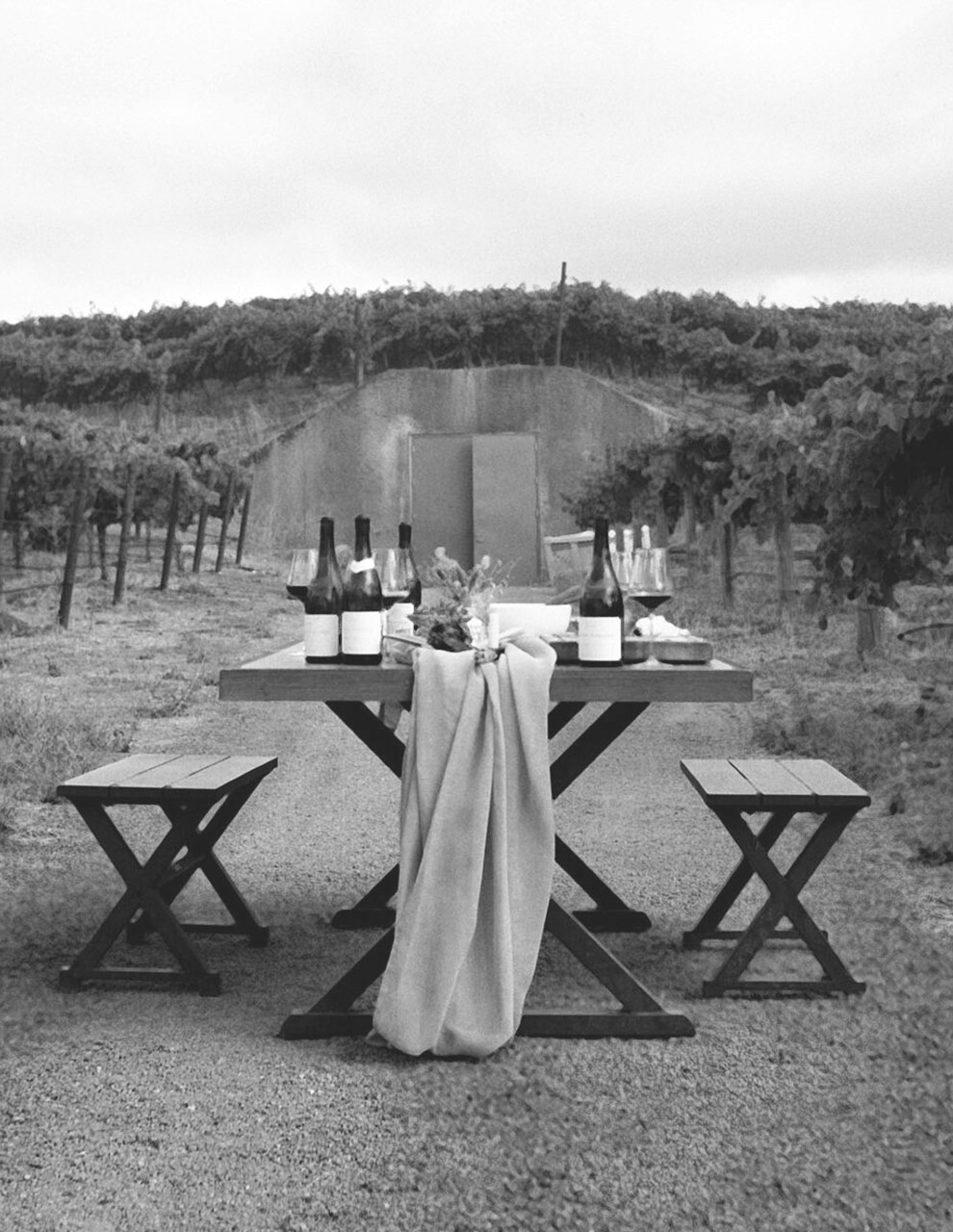 Haynes Vineyard Picnic table set with wine and blanket