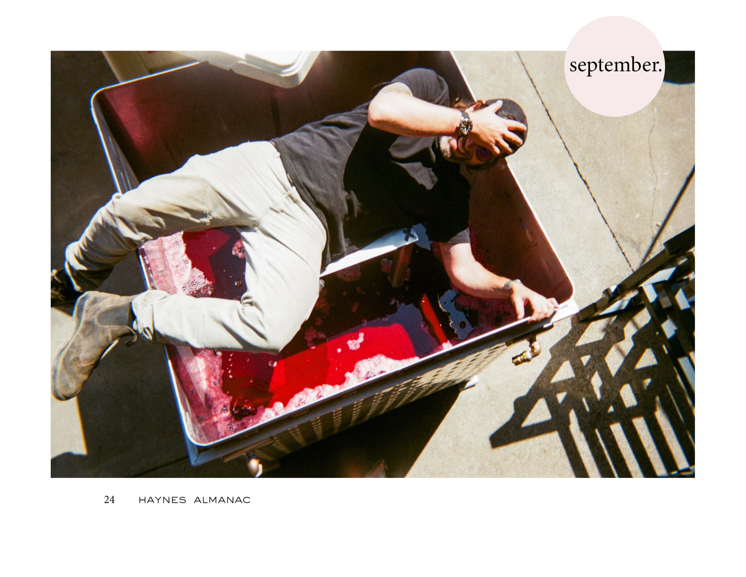 Man laying on top of a harvest vin full of red grape juice