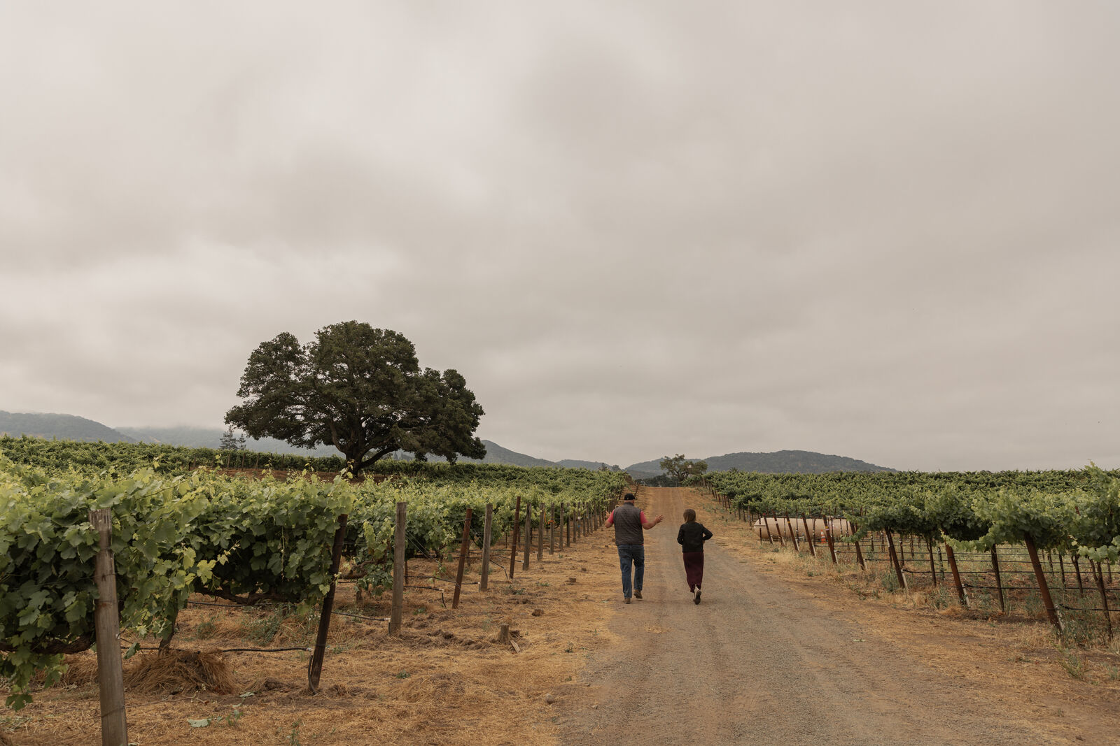 Winemaker Matt Taylor and Estate Director Michaela Murphy in the vineyard.