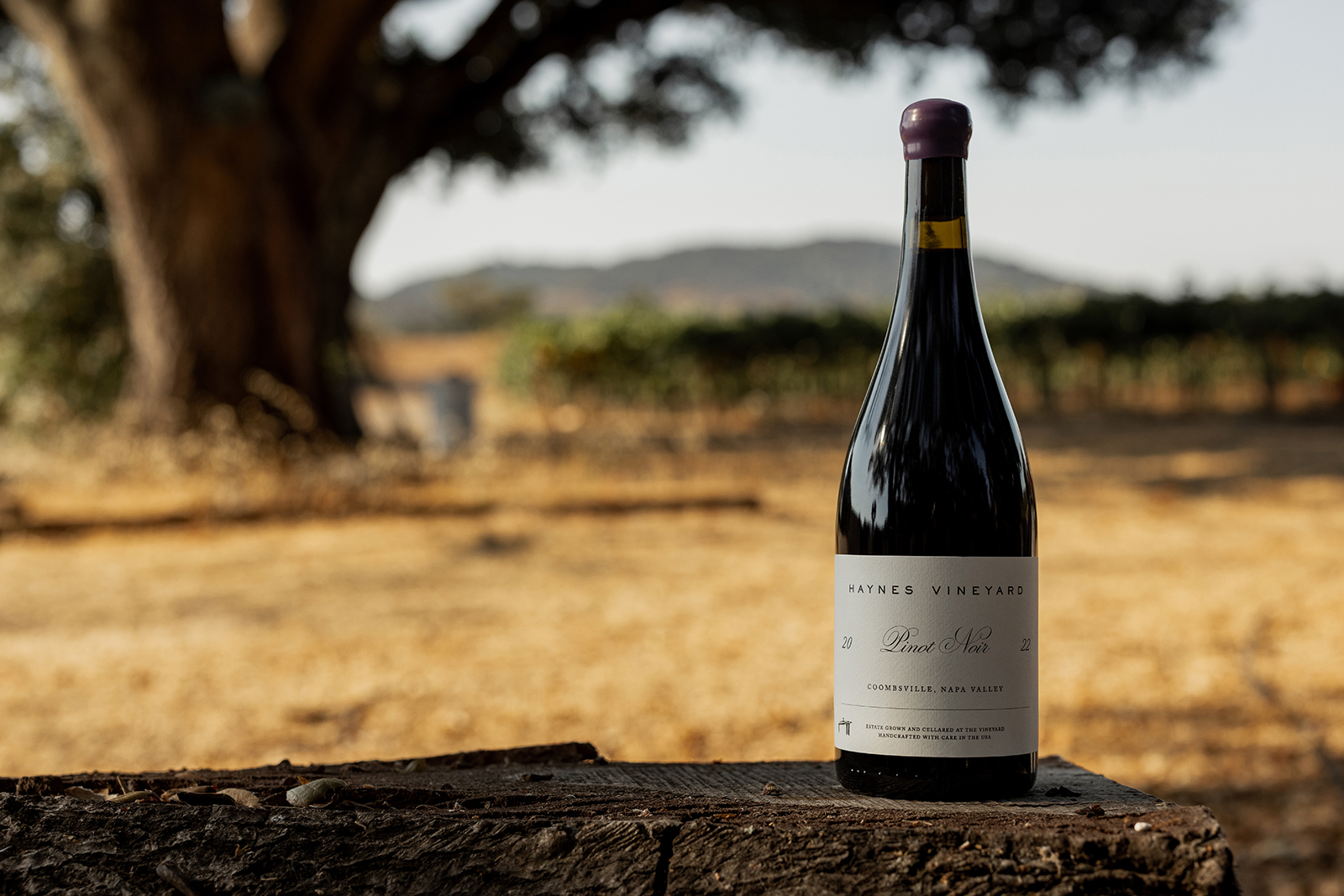 2023 Haynes Pinot Noir