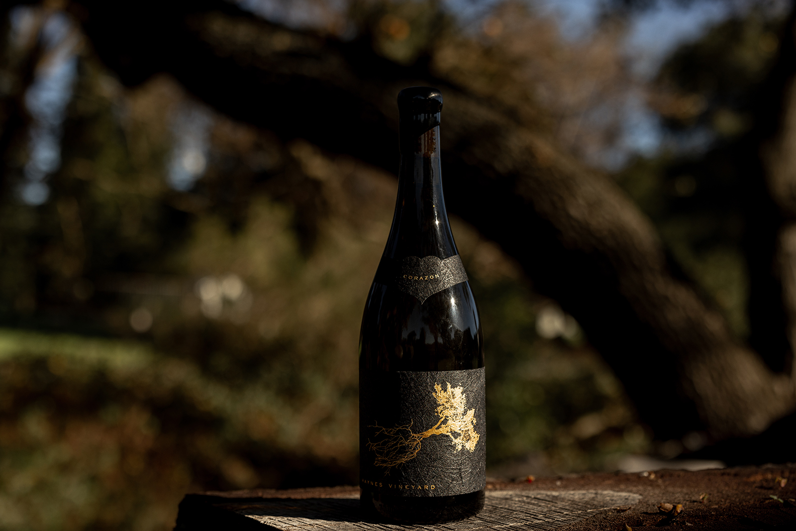 Haynes Vineyard 2023 Corazón de la Caldera